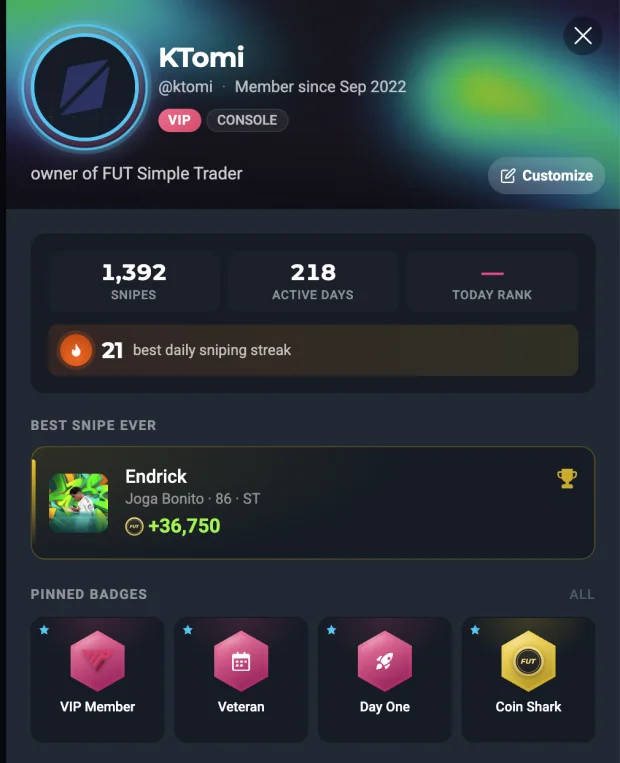 A VIP profile on the Dashboard: VIP badge, custom skin and pinned badges